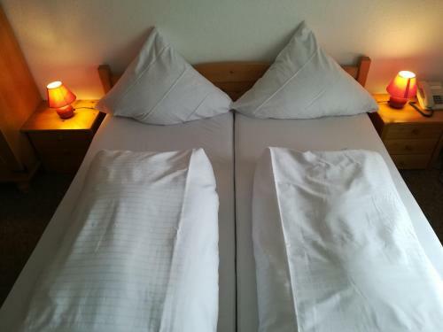 Hotel Waldhaus