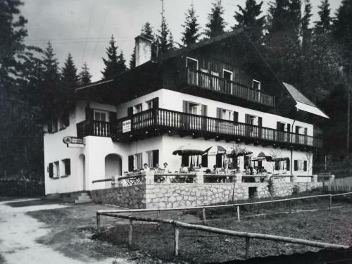 Hotel Waldhaus