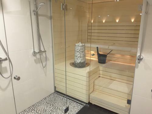 Penthouse Luxus City Apartments