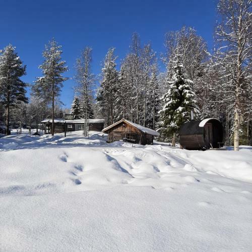 Ollero Eco Lodge (Including A Glass Igloo)