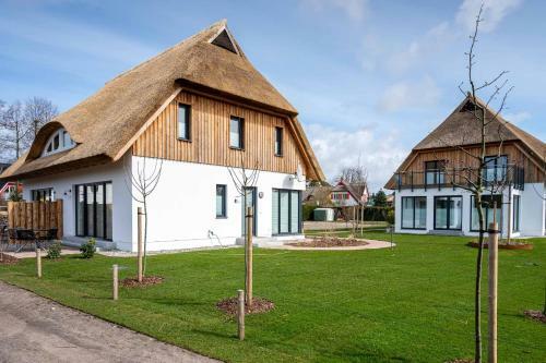 Reethus Reethus 3