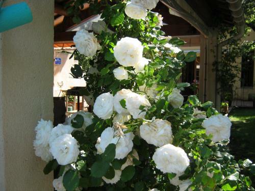 Bed & Breakfast Villa L'ambiance
