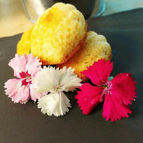 Hotel Libera Caen Colombelles