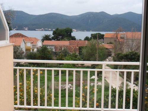 Apartmani An?elka