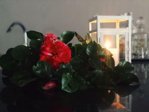 Villa House Anica
