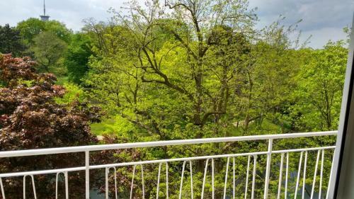 Apartamento Ferienwohnung Contrescarpe City