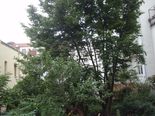 Bed & Breakfast Altbremer Stadthaus, Mitte