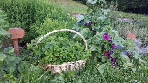 Bed & Breakfast Affittacamere C� Mea Dina
