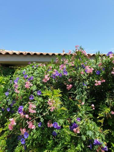 Apartamento Mas De La Petite Jeanne