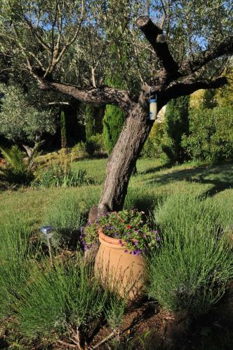 Bed & Breakfast Bastide De L'avelan