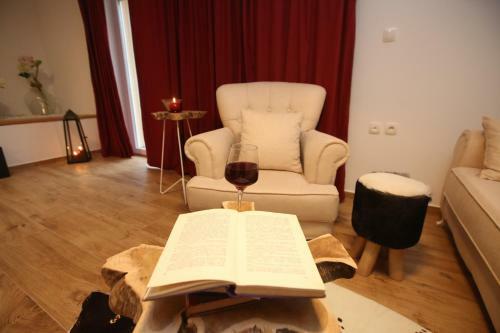 Apartman Delux Brki?
