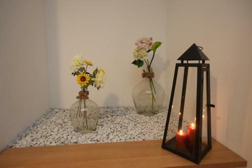Apartman Delux Brki?