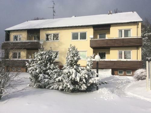 Apartamento Ferienwohnung Harzblick