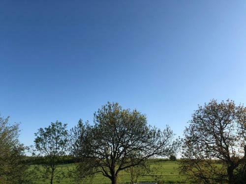 Apartamento Ferienwohnung Mit Blick Auf Die Burg Stargard