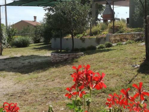 Apartment Tireli