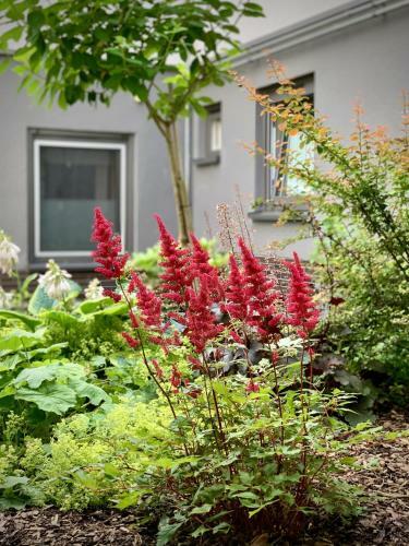 Apartamentos Gnau Rent J�rgen Gnau