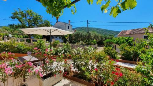 Apartmani Tanja
