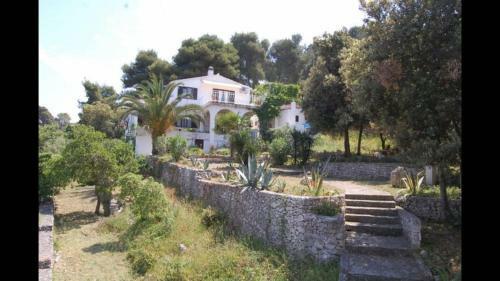 Apartment In Maslinica 70m From The Sea