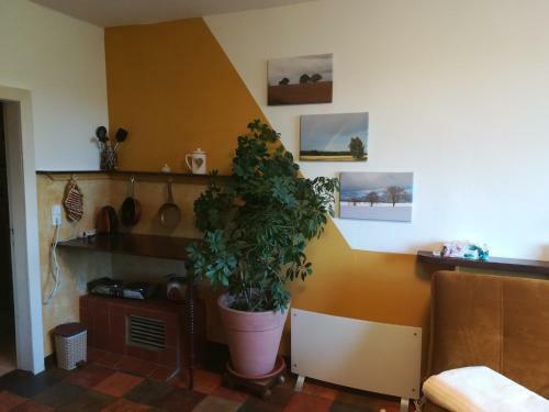 Apartamento Ferien In Der Scheune