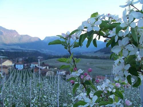 Apartamento Agritur Al Paradis