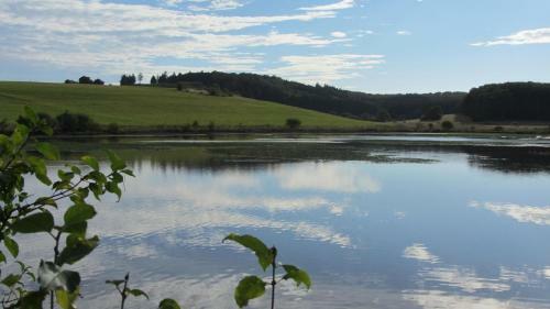 Apartamento Ferienwohnung Apel Im Herzen Der Vulkaneifel