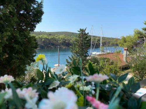 Apartment Lavanda