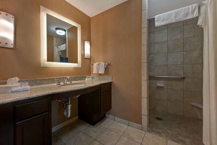 Hotel Homewood Suites By Hilton Denver Tech Center