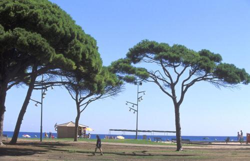 Camping La Pineda De Salou