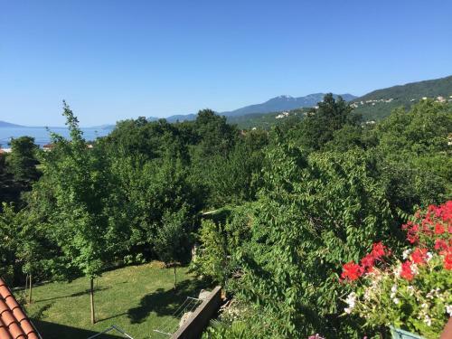 Apartman Ana Marija