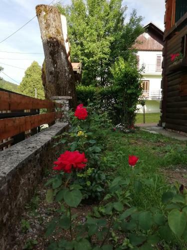 Vila Carmen, Mrkopalj,sunger 57