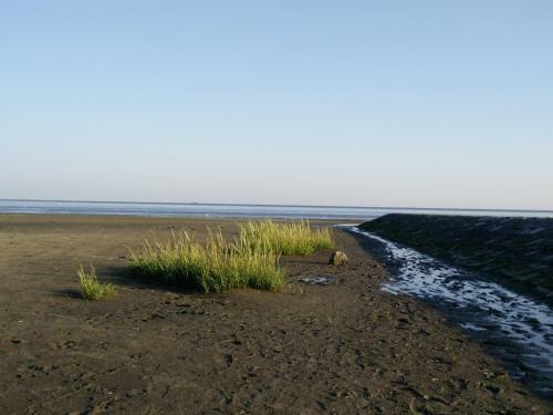 Apartamento Strandhaus-susi