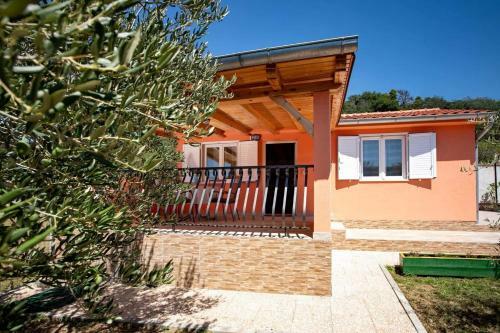 House Olive Tree