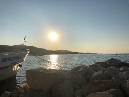 Apartmani Maslina