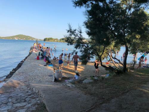 Apartmani Maslina