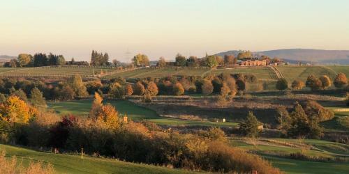Villa Ferienh�user Immenh�fe