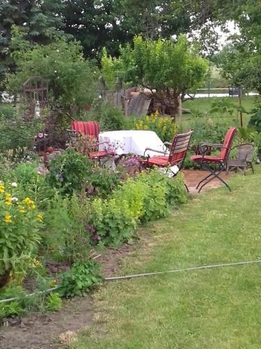 Bed & Breakfast Pension (Fw) "seeblick" Am Stelzenhaus