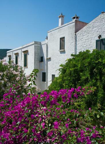 Agroturismo Masseria Il Frantoio