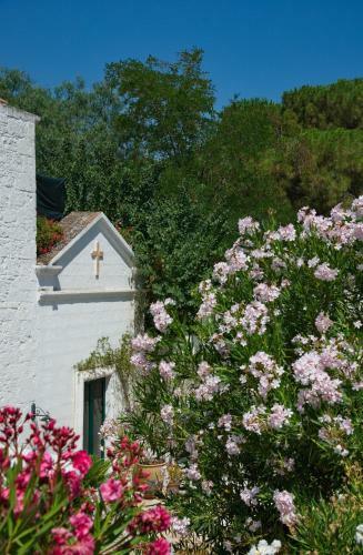 Agroturismo Masseria Il Frantoio