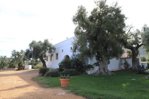 Hostal Lama Di Galizia