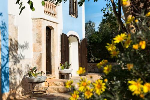Apartamento Terra Sessana
