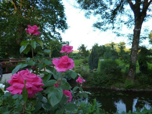 Bed & Breakfast Le Moulin Du Bignon