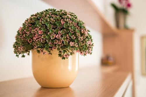 Apartamentos Snje?ana