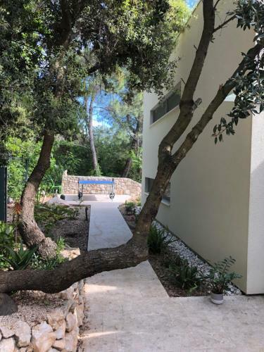 Hostal Villa Del Mar Deluxe