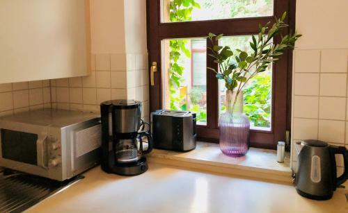 Helles 2 Raum Apartment Mit Eigener Terrasse Dresden Altstadt
