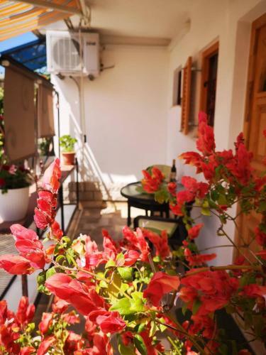 Apartmani Rita Studio
