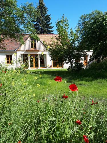 Ferienhaus Zur Ausspanne