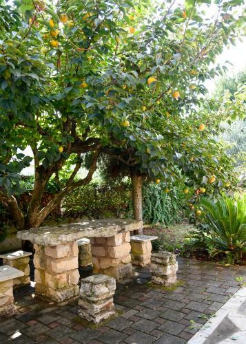 Apartments Teodora Maria