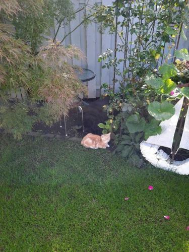 Apartamento Ferienwohung Galerie
