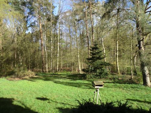 Apartamento Ferienwohnung Bachforelle