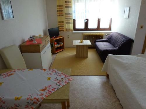 Apartamento Erzgebirgsdomizil Am Schwartenberg